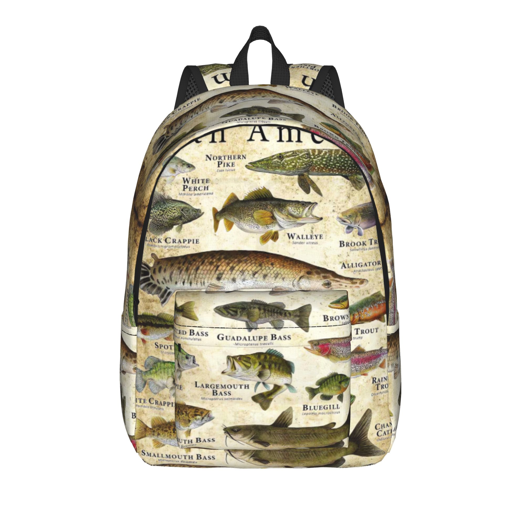 Interior Design Education - Fish Alphabet Educational Freshwater Species Fishing