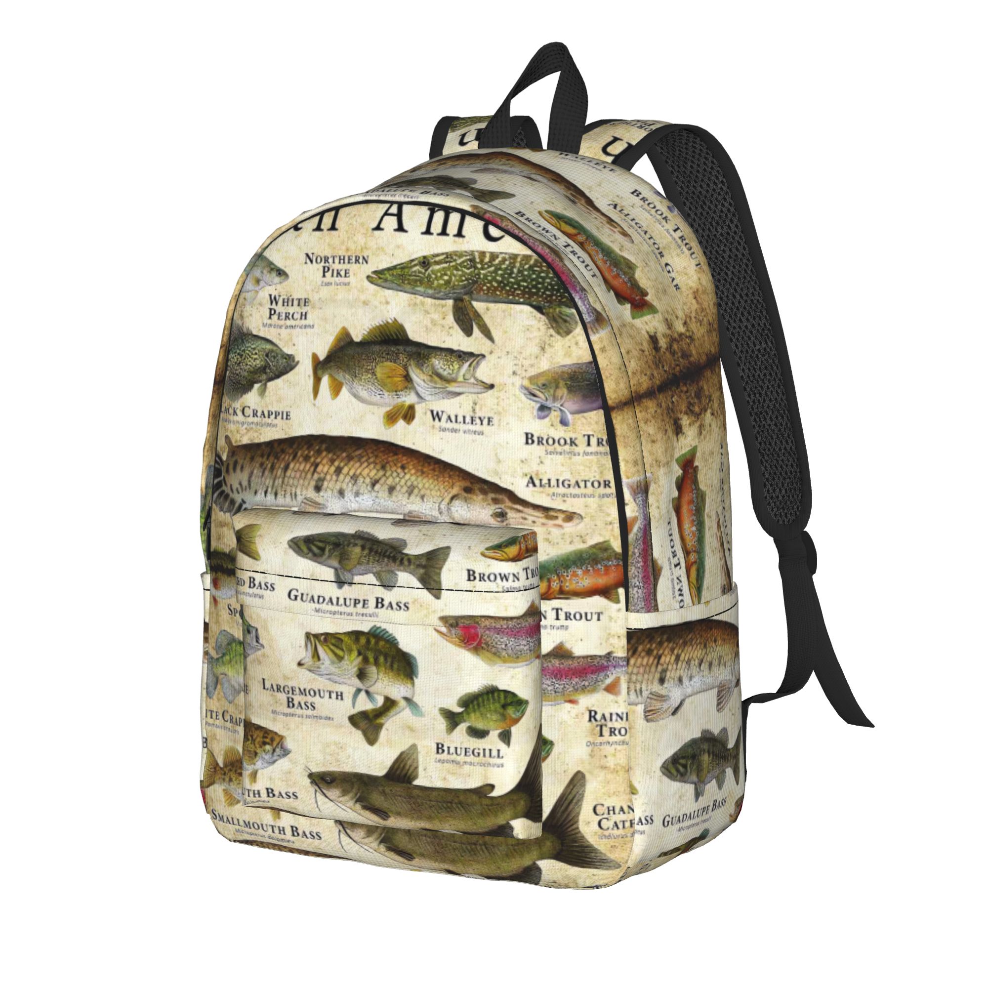 Fish Alphabet Educational Fres - đánh giá và giá Interior Design Education