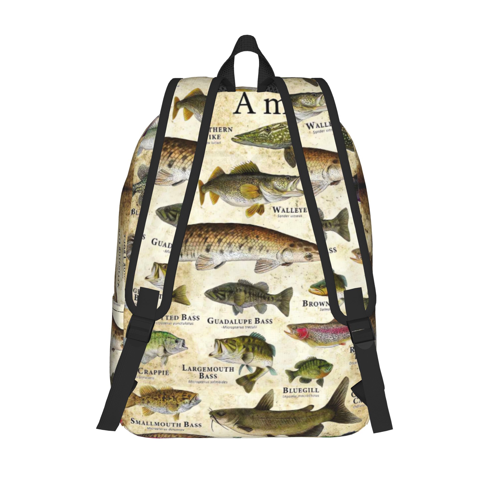 Fish Alphabet Educational Fres - đánh giá và giá Interior Design Education