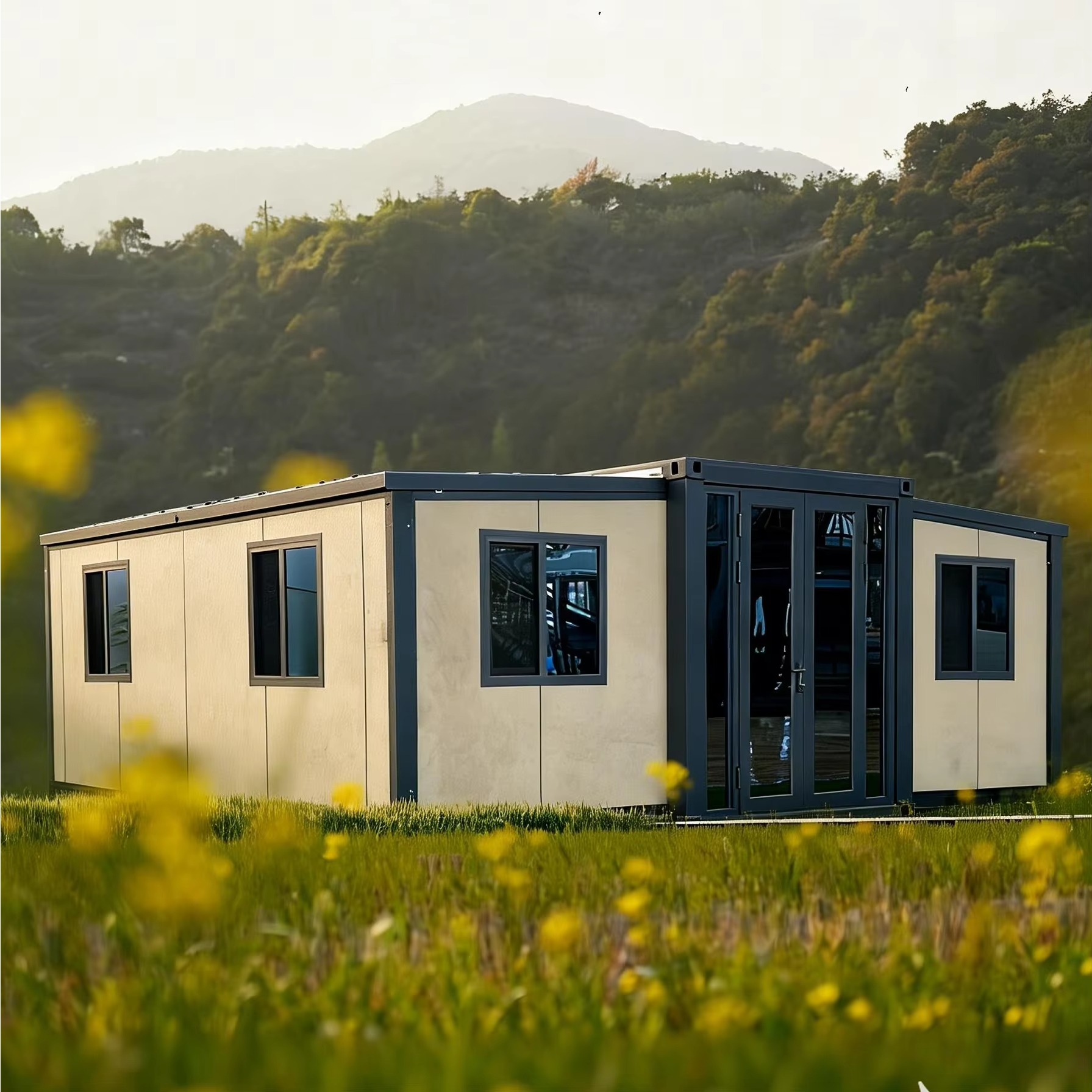 20FT 40FT Double Wing Expandab - đánh giá và giá Interior Design Luxury House